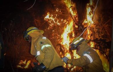 Hasta 20 años de prisión a quien provoque intencionalmente incendios forestales