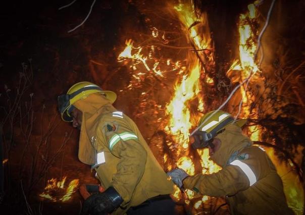 Hasta 20 años de prisión a quien provoque intencionalmente incendios forestales