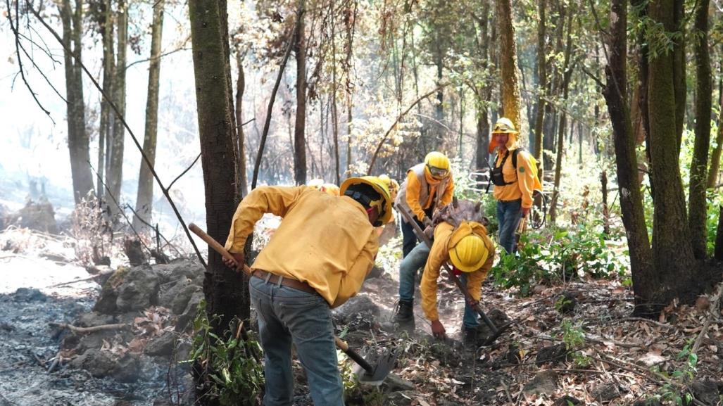 Implementan brechas cortafuego para combatir incendios