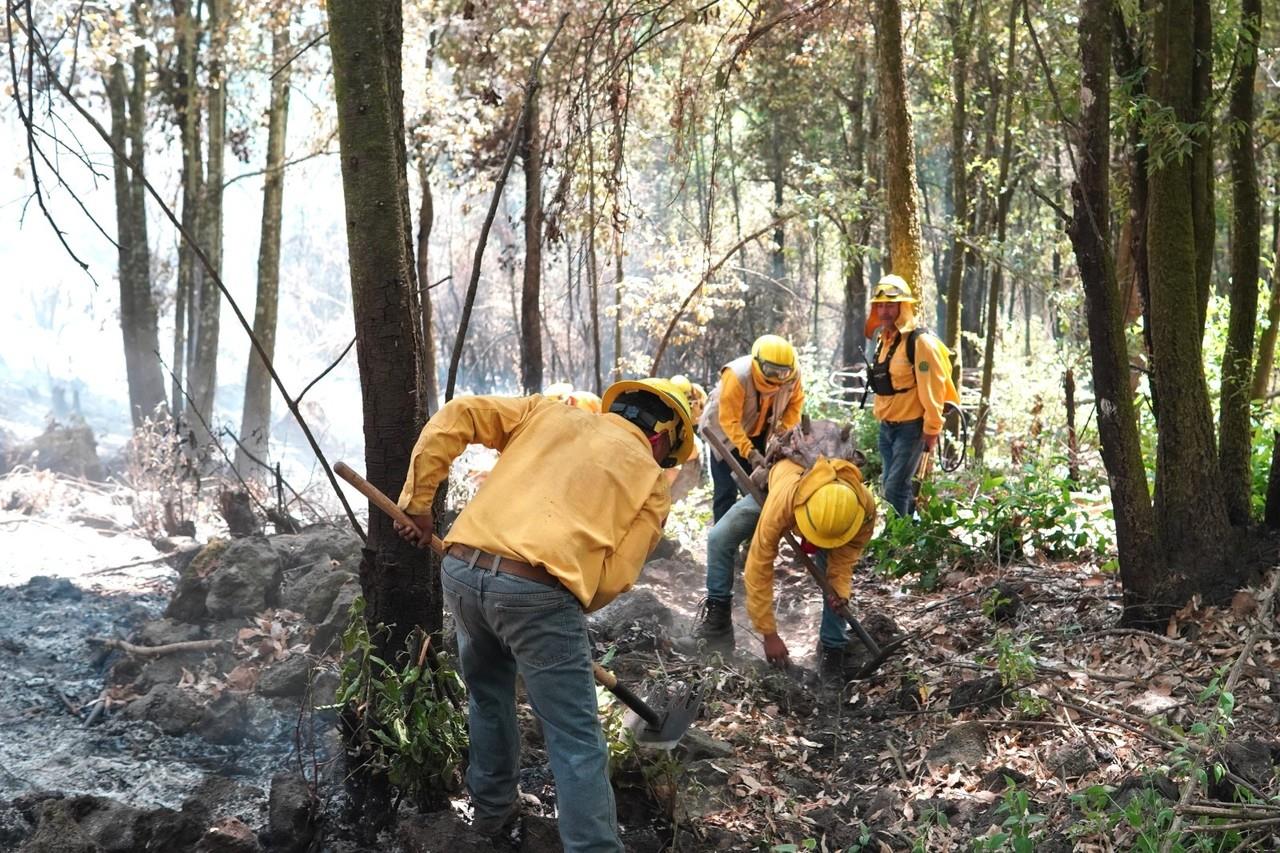 Esta maniobra reduce la posibilidad de fuego y limita el avance de las llamas. Imagen: GEM