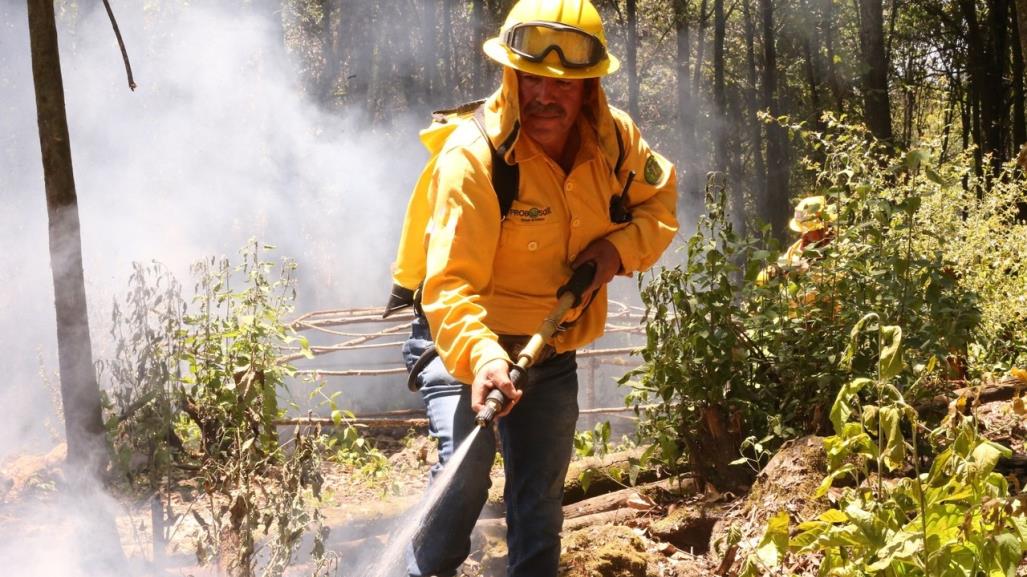 ¡Continúa el fuego! Controlan 12 incendios forestales en Edomex