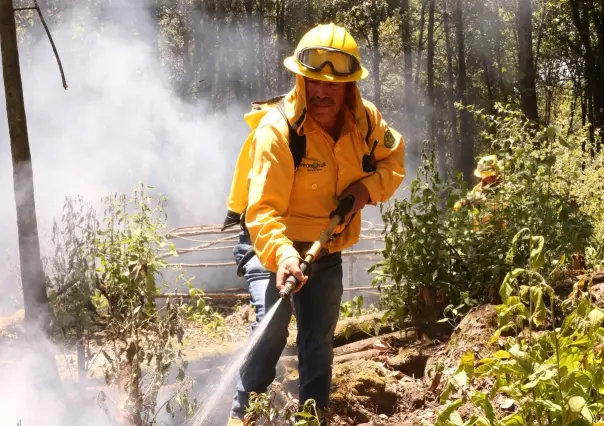 ¡Continúa el fuego! Controlan 12 incendios forestales en Edomex