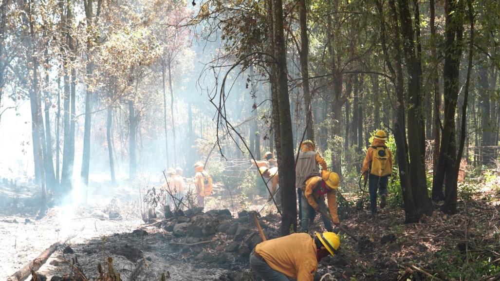 Detecta Edomex incendios forestales en nueve minutos