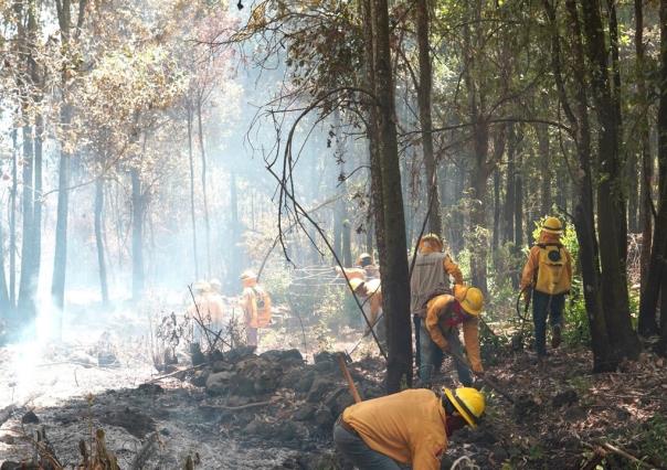 Detecta Edomex incendios forestales en nueve minutos