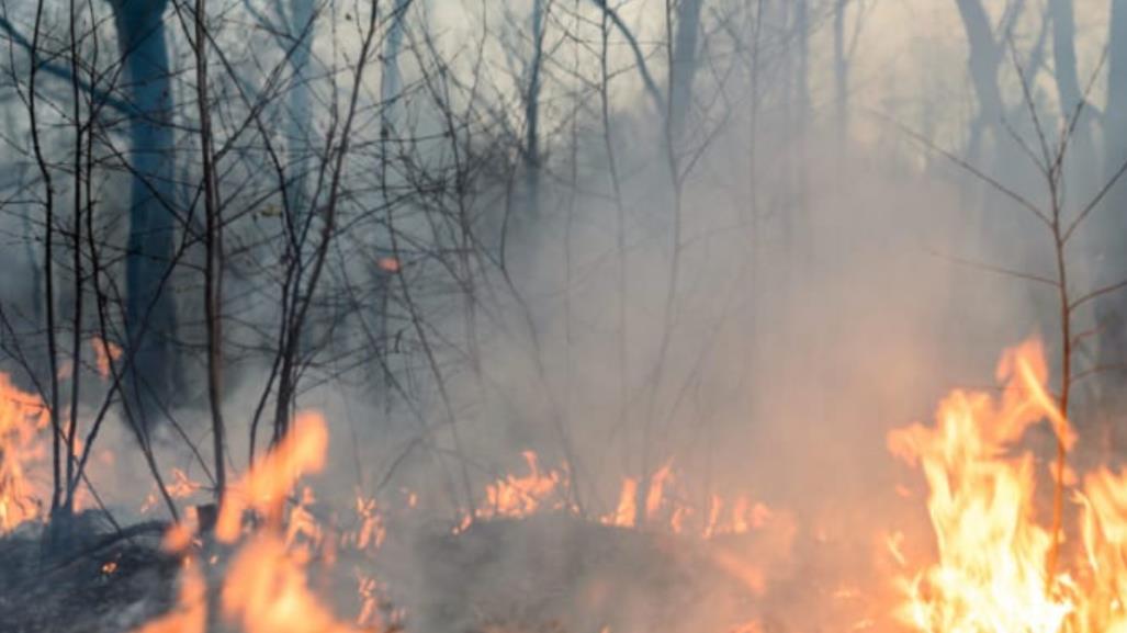 Se incrementan incendios en la zona sur de Tamaulipas por sequía