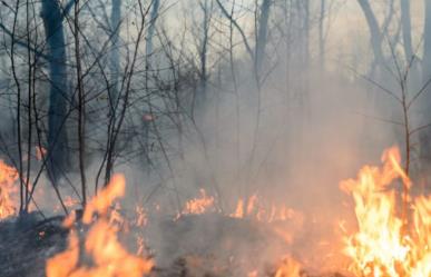 Se incrementan incendios en la zona sur de Tamaulipas por sequía