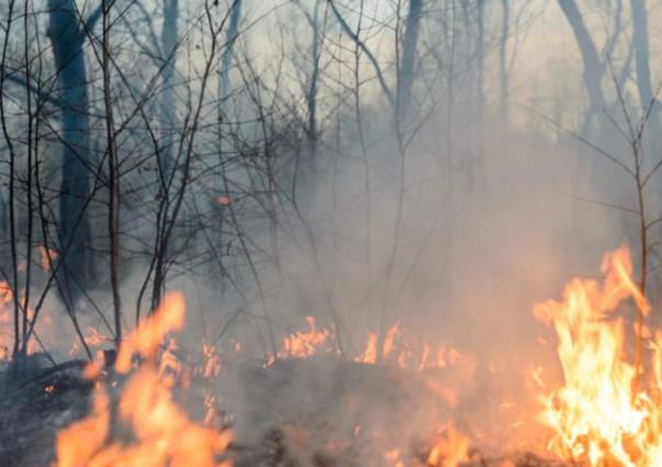 Se incrementan incendios en la zona sur de Tamaulipas por sequía