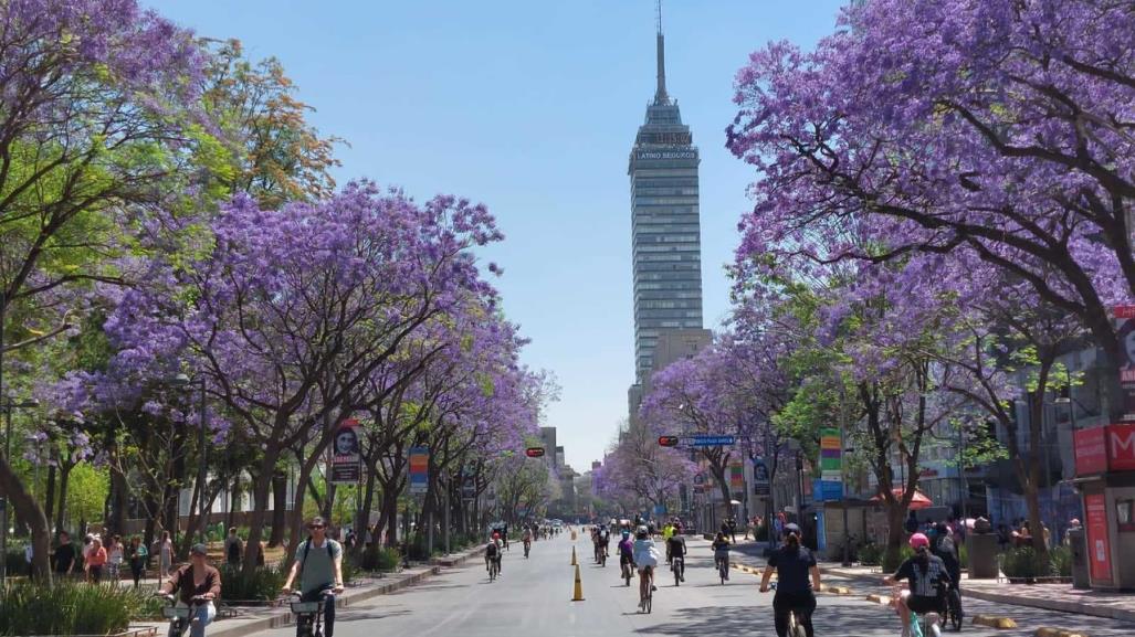 Paseo Dominical de CDMX rompe récord de asistencia con más de 115 mil asistentes