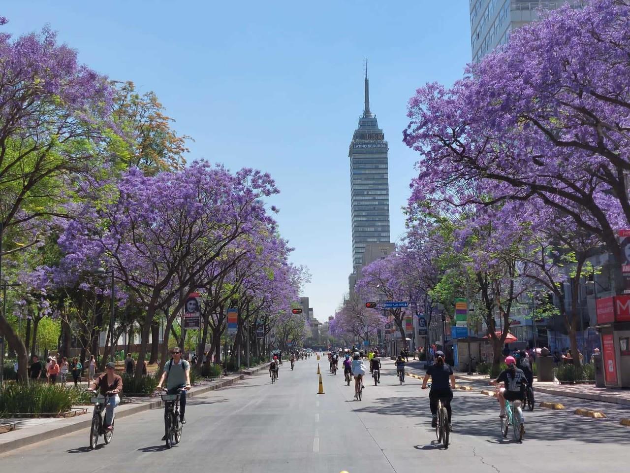 Paseo Dominical de CDMX rompe récord de asistencia con más de 115 mil asistentes.   Foto: @MIBiciCDMX