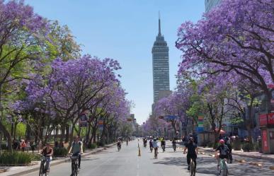 Paseo Dominical de CDMX rompe récord de asistencia con más de 115 mil asistentes