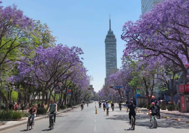 Paseo Dominical de CDMX rompe récord de asistencia con más de 115 mil asistentes