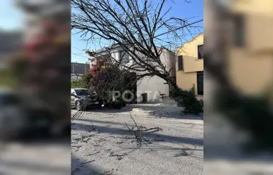 Pide Secretaría de Medio Ambiente tomar medidas ante fuertes vientos