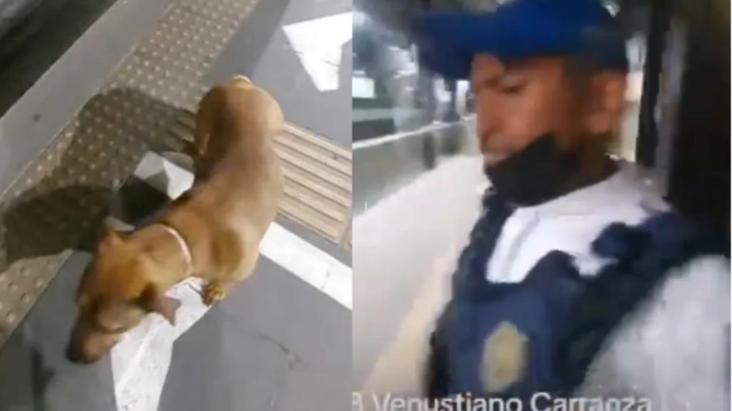 VIDEO: Suspenden a policía que agredió a un perrito en estación de Metrobús CDMX