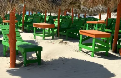 Desovan tortugas Lora en playa Miramar