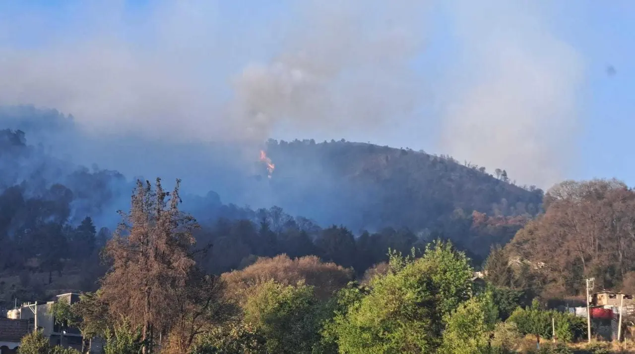 Piden hasta 30 años de cárcel por incendios forestales intencionales. Foto: POSTA