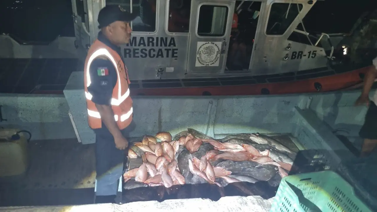 Personal de la Marina y Conapesca realizaron un operativo que resultó en el decomiso de especies marinas y la retención de un barco en Progreso.-Foto de la Semar