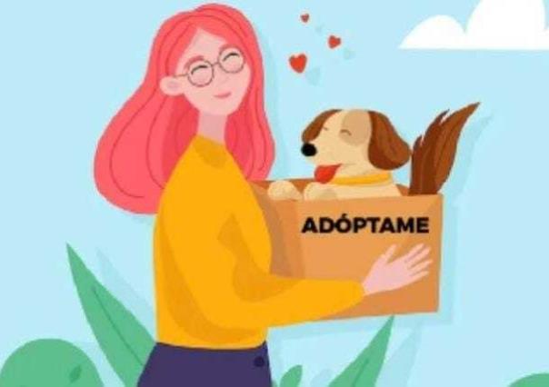 Ayuntamiento de San Mateo Atenco promueve la adopción de animales de compañía