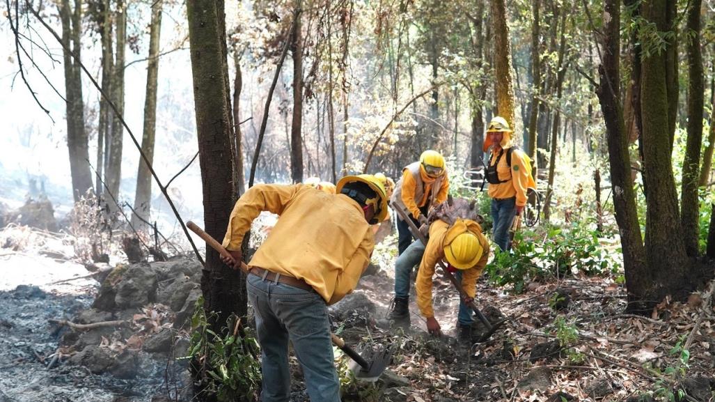 Luchan 563 combatientes contra incendios forestales en Edomex