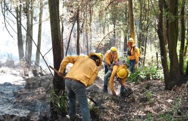 Luchan 563 combatientes contra incendios forestales en Edomex