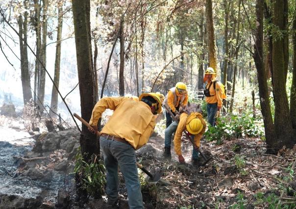 Luchan 563 combatientes contra incendios forestales en Edomex