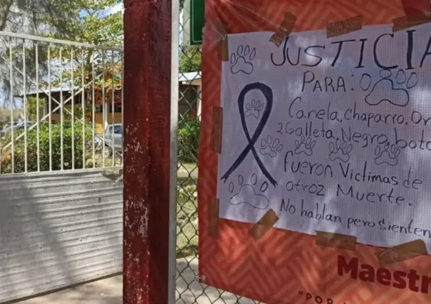 Suspenden a directora en Yucatán por envenenamiento de perros en secundaria