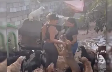 Visita Niurka Marcos refugio de perritos en Yucatán para hacer donaciones