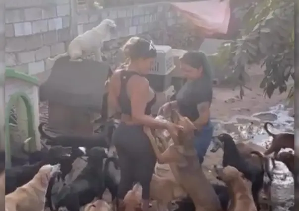 Visita Niurka Marcos refugio de perritos en Yucatán para hacer donaciones