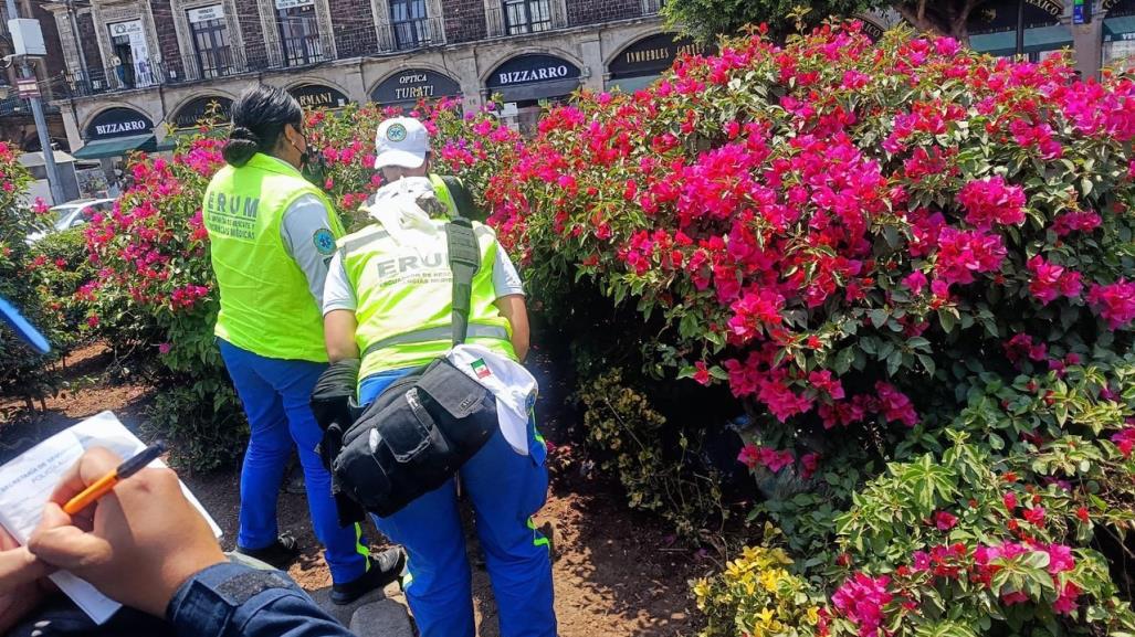 Muere adulto mayor en jardinera del Zócalo