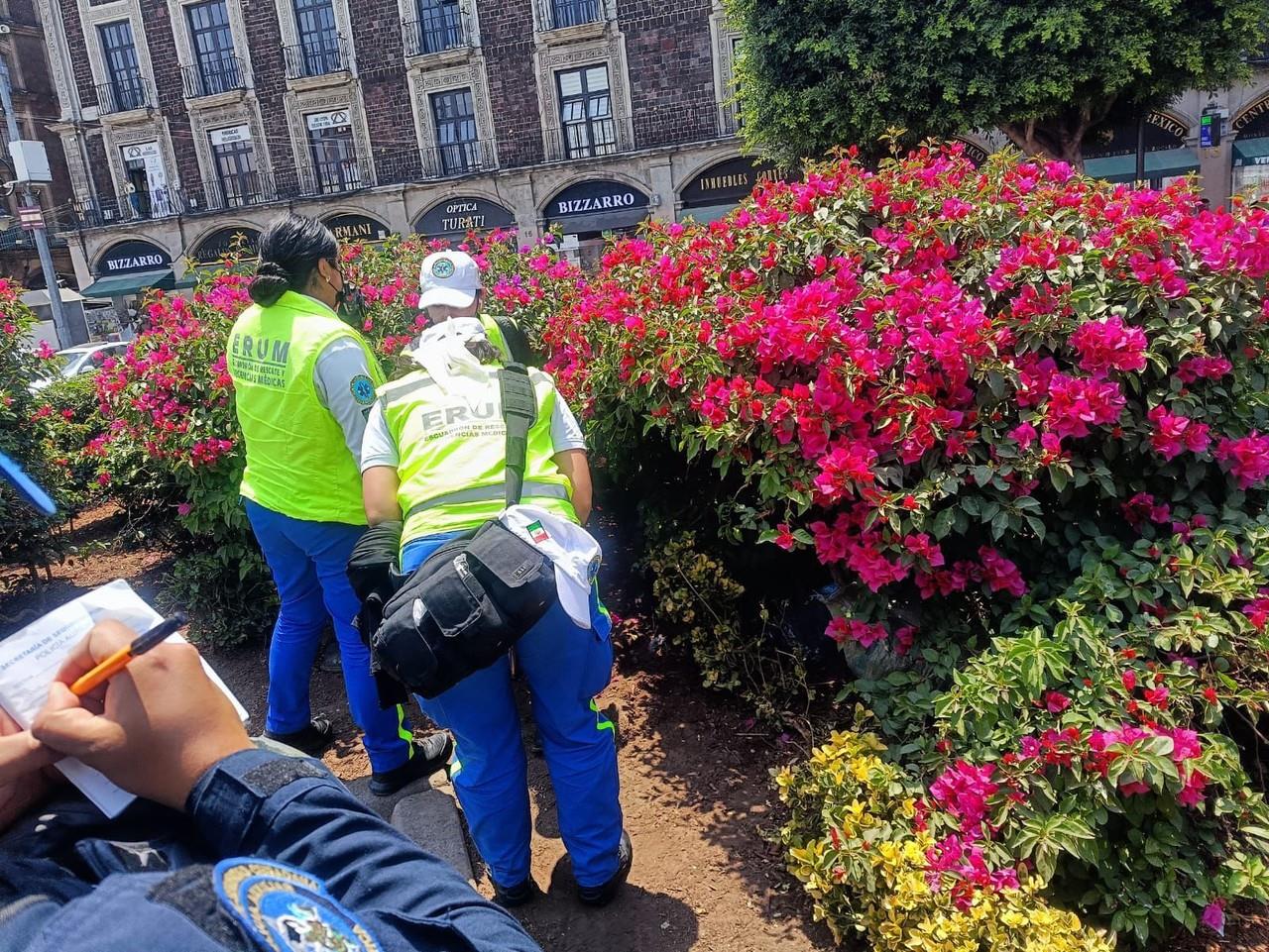 Muere adulto mayor en jardinera del Zócalo