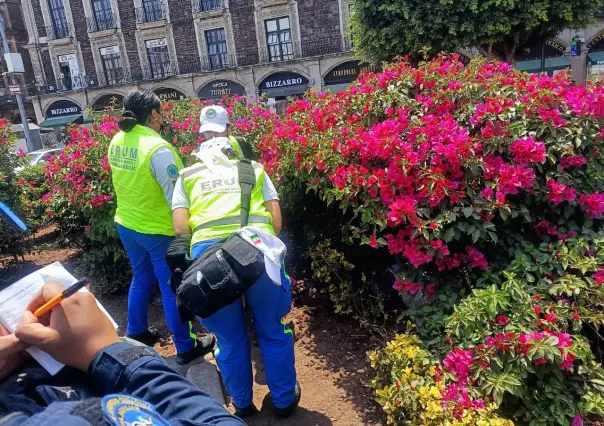 Muere adulto mayor en jardinera del Zócalo