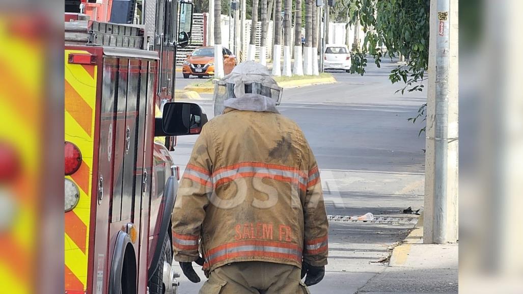 Atacan abejas a una docena de personas junto a Paseo Durango