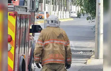 Atacan abejas a una docena de personas junto a Paseo Durango