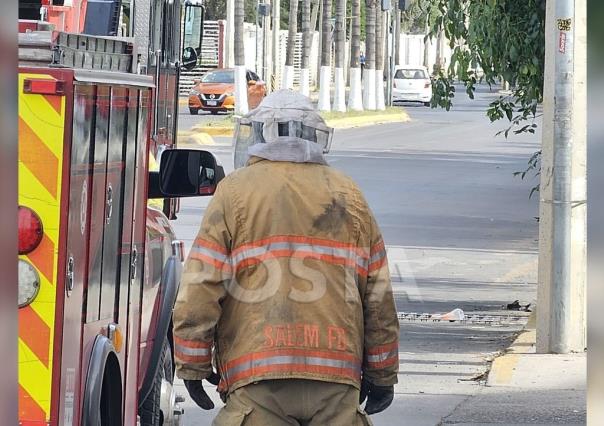 Atacan abejas a una docena de personas junto a Paseo Durango