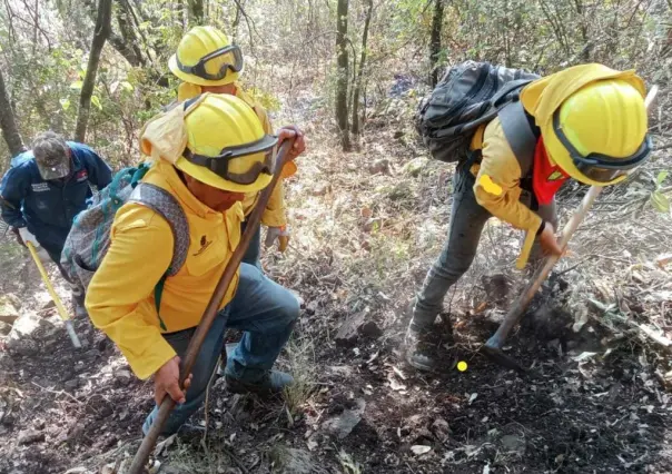 Enfrentan cuatro incendios forestales en el Estado de México
