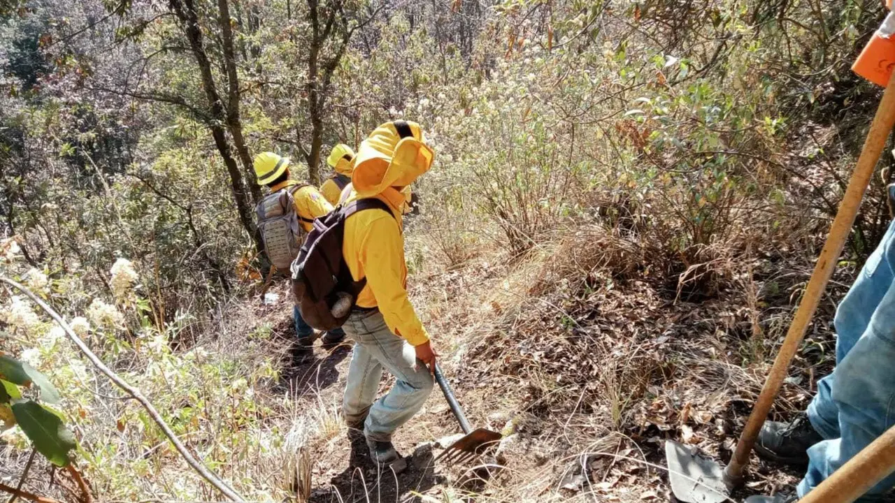 Desde el aire combaten incendio forestal en Tenango del Valle