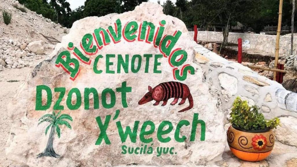 Cenote del Armadillo: Descubre qué esconde esta maravilla subterránea en Sucilá