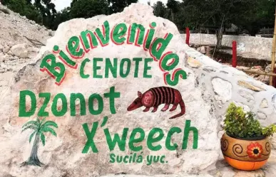Cenote del Armadillo: Descubre qué esconde esta maravilla subterránea en Sucilá
