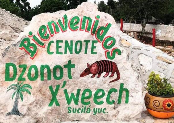 Cenote del Armadillo: Descubre qué esconde esta maravilla subterránea en Sucilá