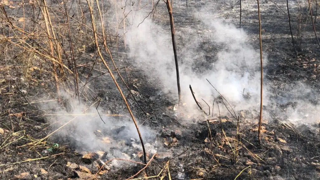 Advierten que nueva onda cálida podría provocar más incendios en Yucatán