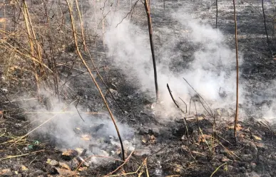 Advierten que nueva onda cálida podría provocar más incendios en Yucatán