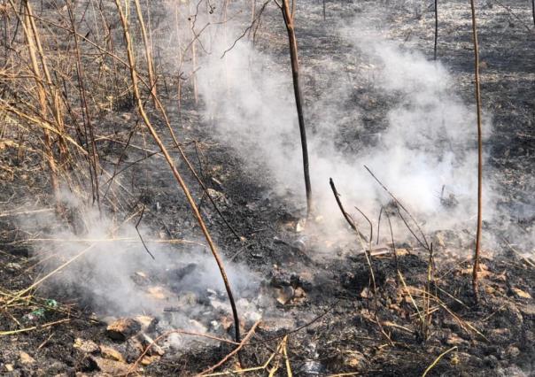 Advierten que nueva onda cálida podría provocar más incendios en Yucatán