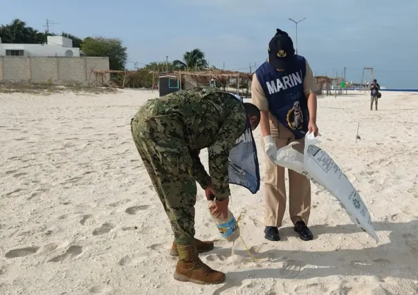 Marina realiza limpieza de playas y manglares en Puerto de Celestún