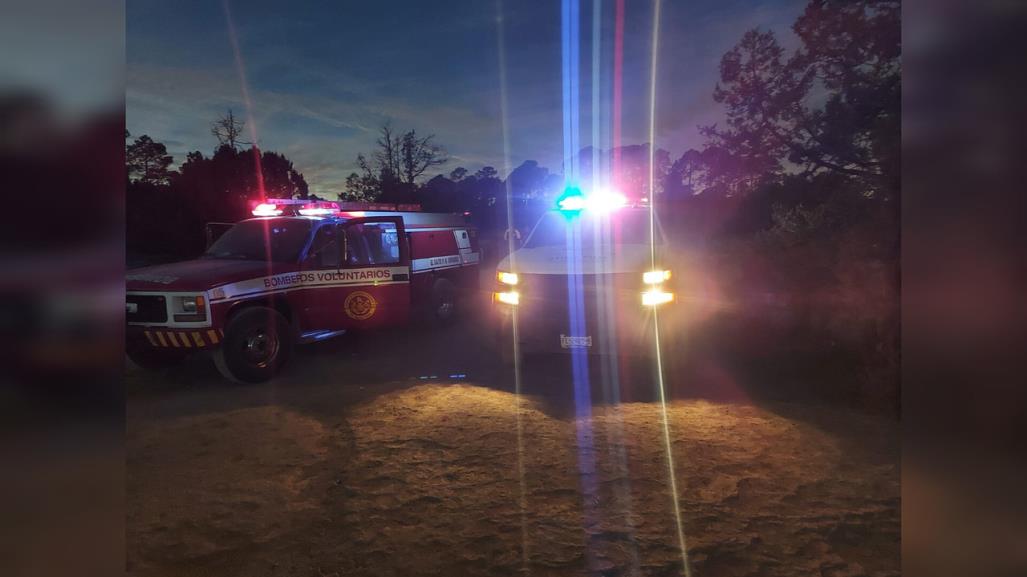 Tronco lo golpea en la cabeza y muere en zona forestal de San Dimas