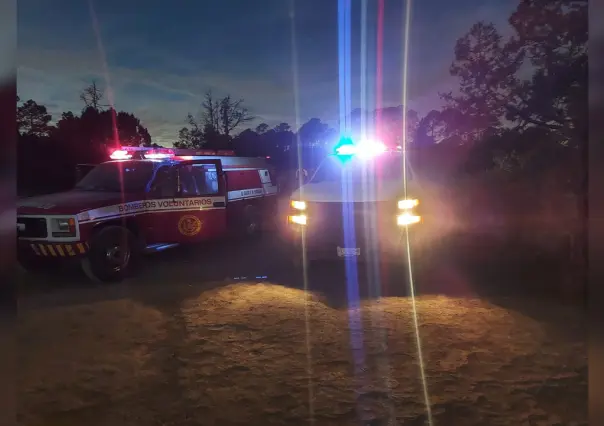 Tronco lo golpea en la cabeza y muere en zona forestal de San Dimas