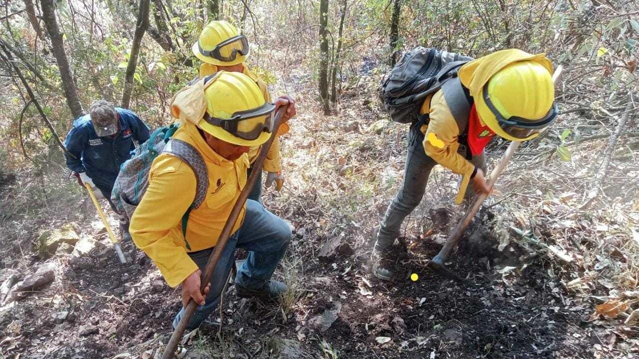 Suben de cuatro a 10 los incendios forestales activos en Edoméx