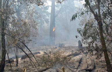 Suben de cuatro a 10 los incendios forestales activos en Edoméx