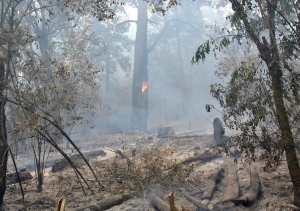 Suben de cuatro a 10 los incendios forestales activos en Edoméx