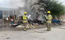 En incendio, muere perro amarrado a un árbol en Torreón; logran rescatar a 4
