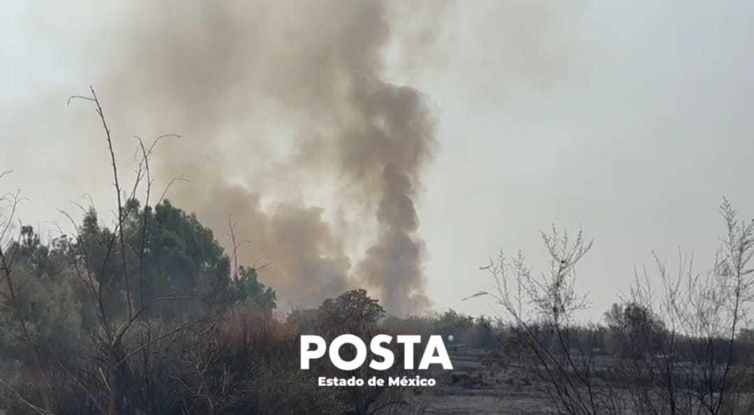 Bomberos y PC sofocaron las llamas del fuego. Imagen: POSTA