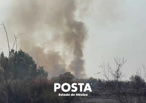 Incendio en Nezahualcóyotl: bomberos sofocan fuego en zona de pastizal